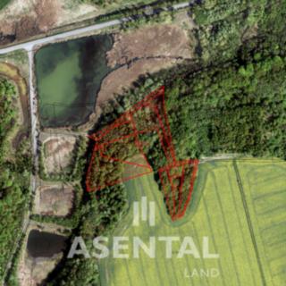 Prodej lesa 20285 m² Stonava