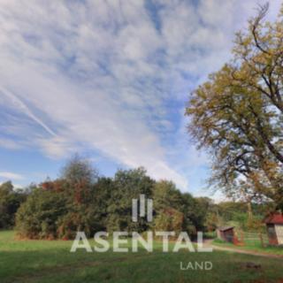 Prodej stavební parcely 1 377 m² Doubrava