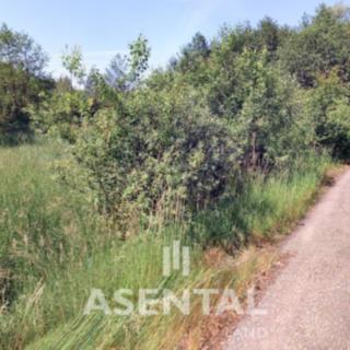 Prodej ostatního pozemku 383 m² Karviná Nové Město, Brožíkova