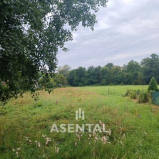 Prodej ostatního pozemku 3 695 m² Orlová, Lidická