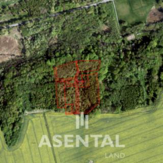 Prodej lesa 21432 m² Stonava