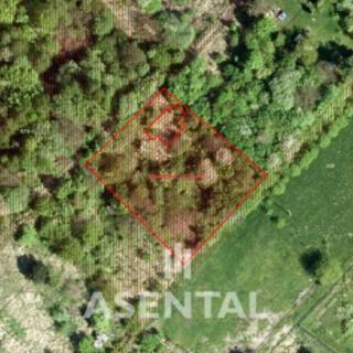 Prodej ostatního pozemku 1 997 m² Doubrava