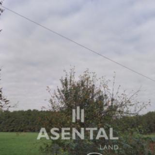 Prodej zemědělské půdy 14814 m² Rychvald