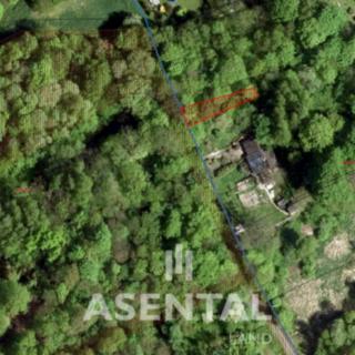 Prodej lesa 154 m² Doubrava