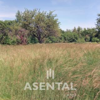 Prodej ostatního pozemku 1 372 m² Karviná, Za Pilou