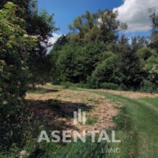 Prodej ostatního pozemku 11 975 m² Karviná, Za Pilou