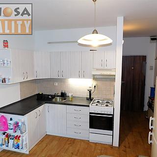 Prodej bytu 1+1 36 m² Ústí nad Labem Střekov, Tolstého