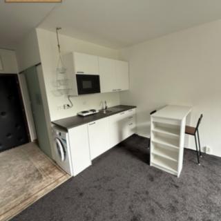 Pronájem bytu 1+kk a garsoniéry 25 m² Ústí nad Labem Severní Terasa, Brandtova