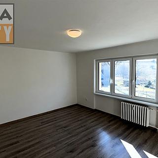 Pronájem bytu 1+1 43 m&sup2; Petrovice