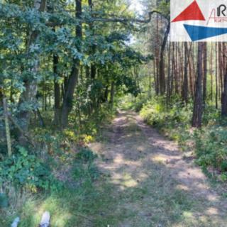 Prodej stavební parcely 2 839 m² Hradištko