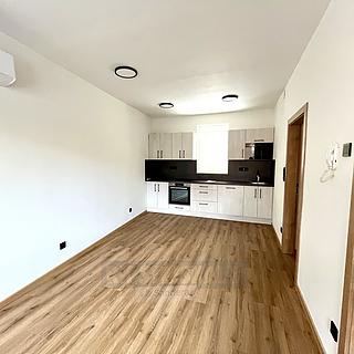 Pronájem bytu 2+kk 42 m² Kamenný Újezd, Budějovická