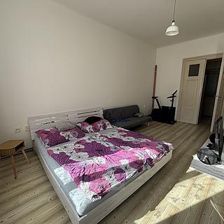 Pronájem bytu 1+1 44 m² České Budějovice 6, Mánesova