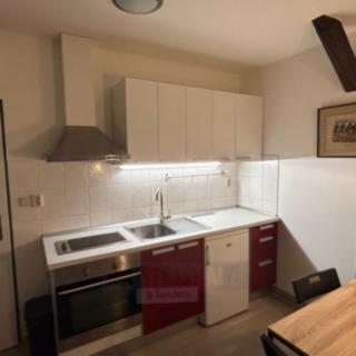 Pronájem bytu 1+kk a garsoniéry 22 m² České Budějovice 6, Mánesova