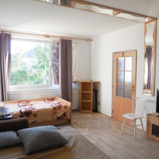 Pronájem bytu 1+1 45 m² Prachatice II, Italská