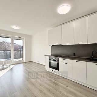 Pronájem bytu 1+kk a garsoniéry 28 m² České Budějovice 2, Na Zlaté stoce