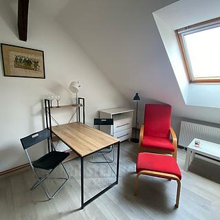 Pronájem bytu 1+kk a garsoniéry 22 m² České Budějovice 6, Mánesova