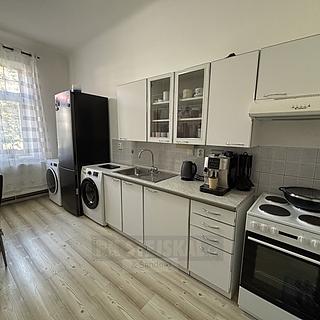 Pronájem bytu 1+1 44 m² České Budějovice 6, Mánesova