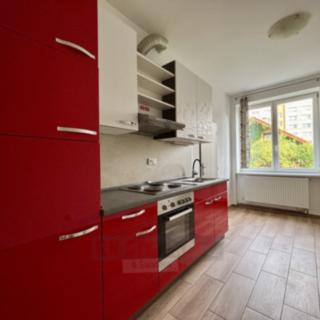 Pronájem bytu 1+1 46 m² České Budějovice 5, Dobrovodská