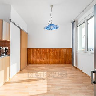 Pronájem bytu 2+kk 55 m&sup2; České Budějovice
