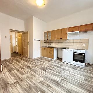 Pronájem bytu 2+1 55 m² České Budějovice 3, J. Š. Baara