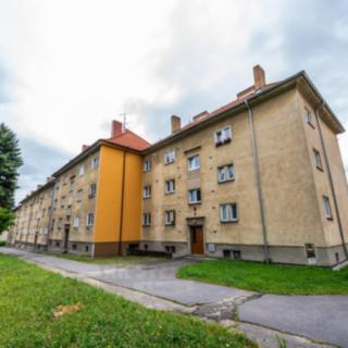 Prodej bytu 2+1 63 m² Trhové Sviny, Sídliště