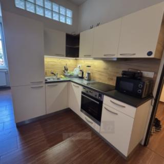 Pronájem bytu 2+1 63 m² České Budějovice 3, Lipenská