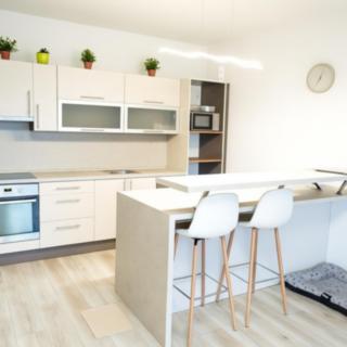 Pronájem bytu 2+kk 79 m² Mladá Boleslav Michalovice