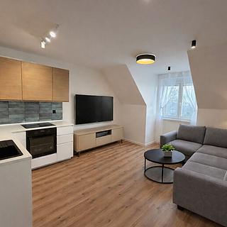 Pronájem bytu 2+kk 42 m&sup2; Benátky nad Jizerou