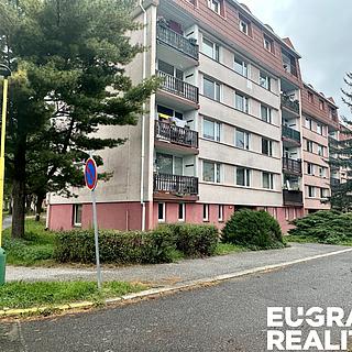 Pronájem bytu 1+1 35 m&sup2; Stráž pod Ralskem