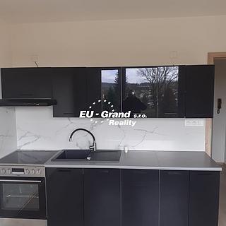 Pronájem bytu 1+1, 42m²