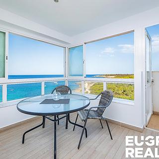 Prodej bytu 3+kk, 60m&sup2;