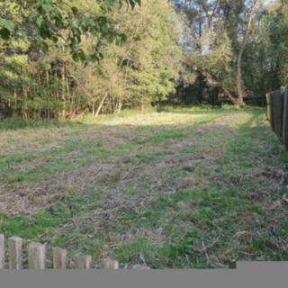 Prodej zahrady 384 m² Jestřebí