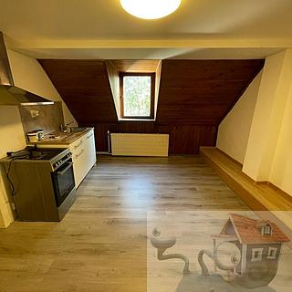 Pronájem bytu 1+kk, garsoniery 27 m&sup2; Česká Lípa