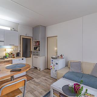 Pronájem bytu 1+1 36 m² Sušice II, Volšovská