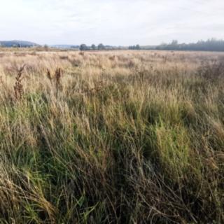 Prodej stavební parcely 1513 m² Plzeň