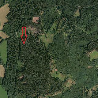 Prodej lesa 18 883 m² Petrovice u Sušice Trsice