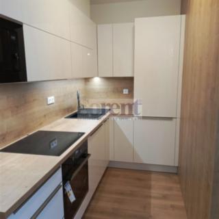 Pronájem bytu 1+kk a garsoniéry 47 m² České Budějovice 3, Riegrova