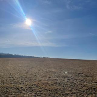 Prodej lesa 27831 m² Svatý Jan nad Malší