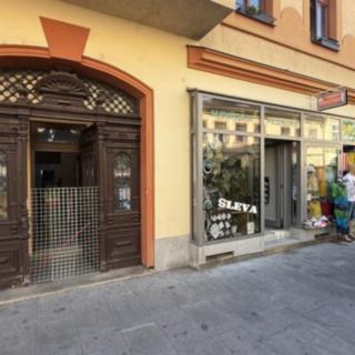 Prodej Ostatních komerčních prostor 470 m² České Budějovice
