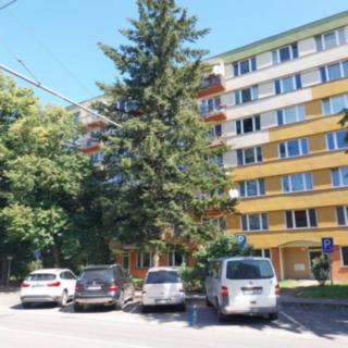 Prodej bytu 1+kk a garsoniéry 21 m² České Budějovice 3, Pekárenská