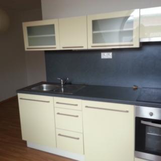 Pronájem bytu 1+kk a garsoniéry 31 m² České Budějovice 3, Riegrova