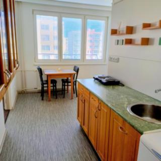 Pronájem bytu 1+1 43 m² České Budějovice 2, Vodňanská