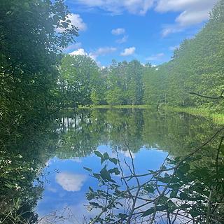 Prodej louky 389 696 m² Chlum u Třeboně Žíteč