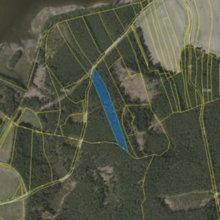 Prodej lesa 8812 m² Příbraz