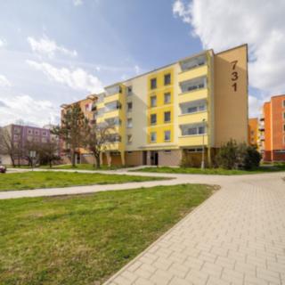 Prodej bytu 3+1 65 m² Týn nad Vltavou, Veselská