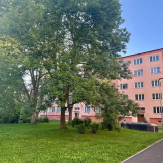 Prodej bytu 2+1 52 m² Cheb, Jungmannova