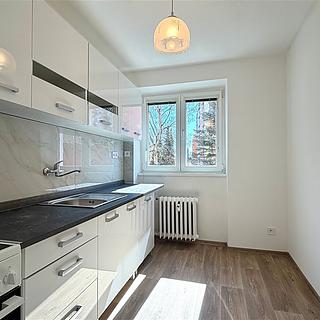 Pronájem bytu 3+1 57 m² Cheb, Palackého