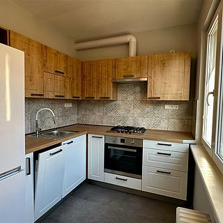 Pronájem bytu 2+1 54 m² Cheb, V Zahradách