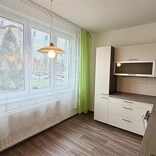 Pronájem bytu 2+1 49 m² Cheb, Přátelství