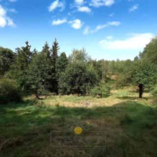 Prodej stavební parcely 8 483 m² Dubá Korce